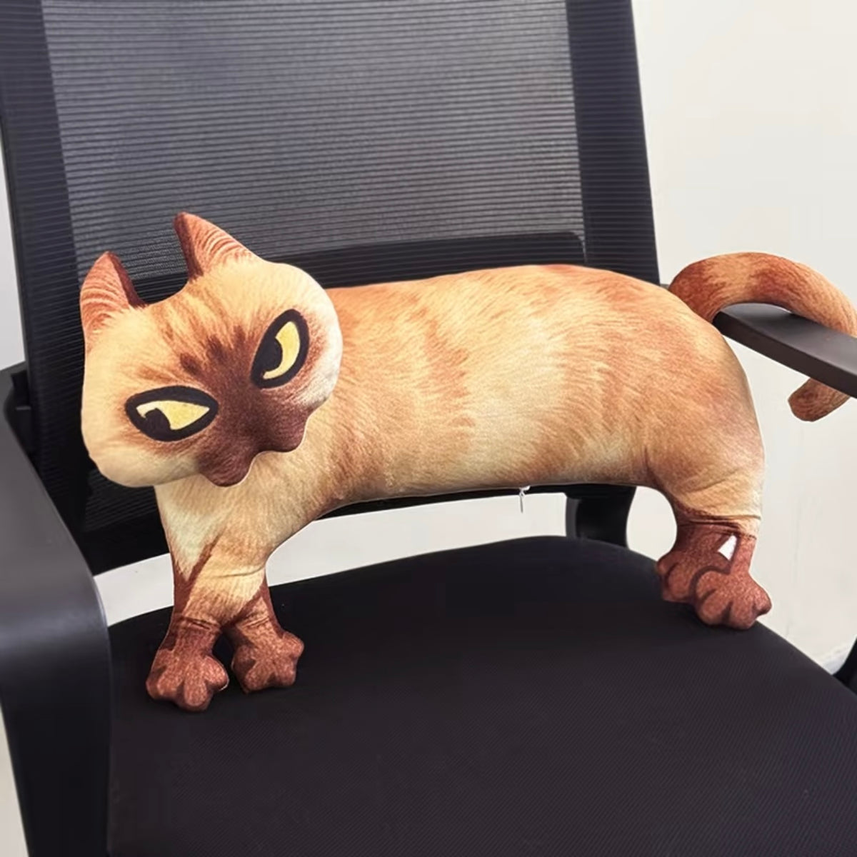 Last Warning Okay Cat Plush Pillow (50 cm)