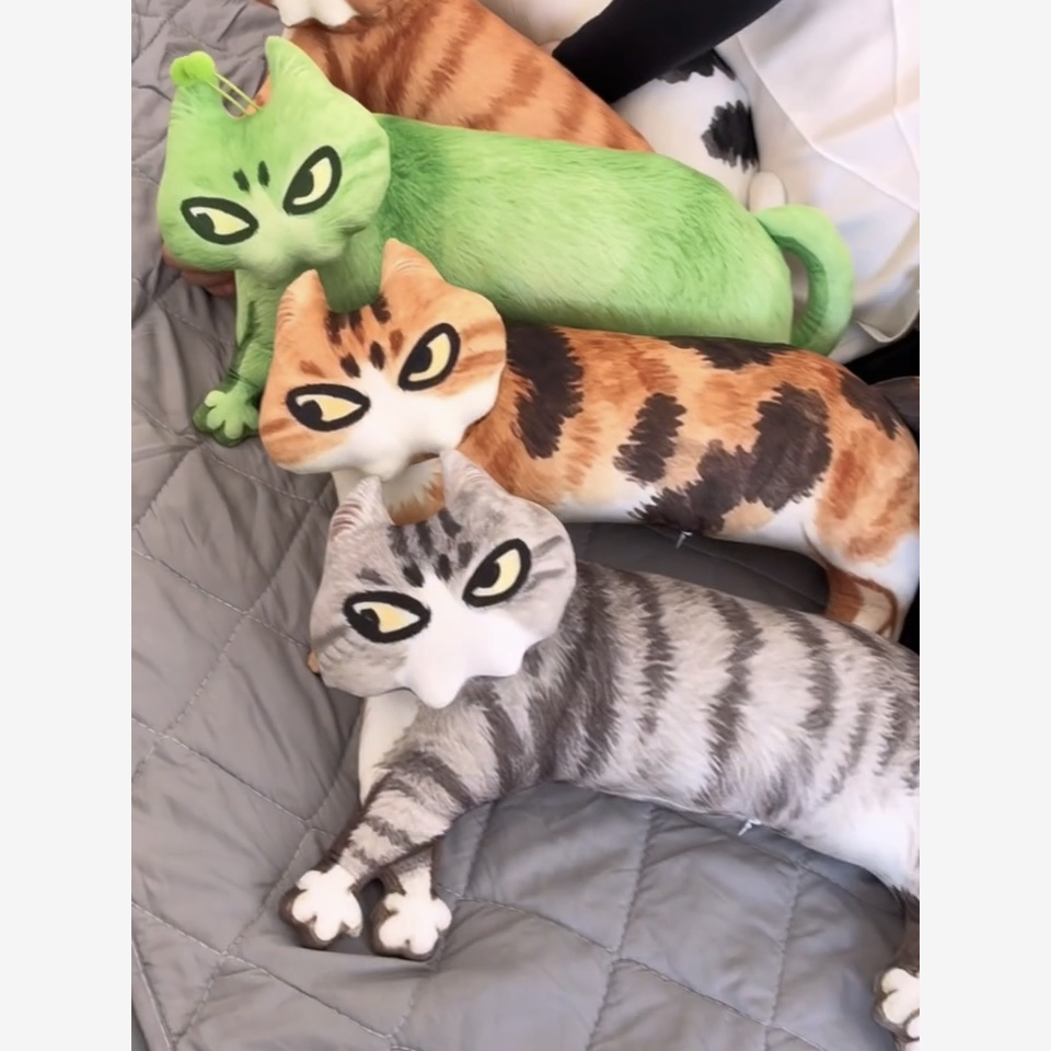 Last Warning Okay Cat Plush Pillow (50 cm)